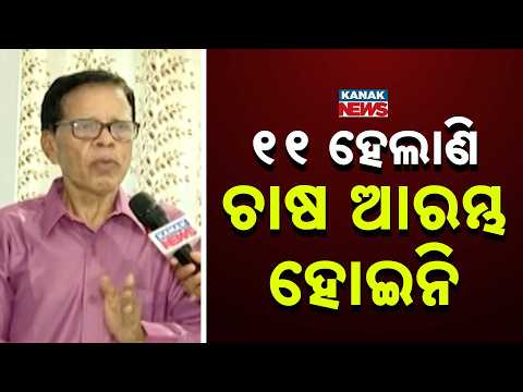 ୧୩ରୁ ପୁଣି ଲଗାଣ ବର୍ଷା । ଚାଷୀ ଚିନ୍ତାରେ...|| Heavy Rain Alert Threatens To Destroy Paddy Saplings!