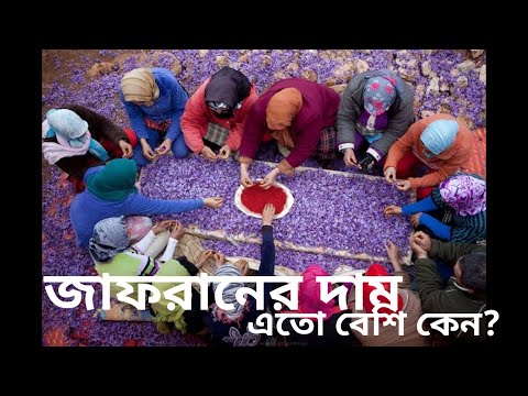 ভিডিও: শরৎ ক্রোকাস (50 টি ছবি): কীভাবে শরতের প্রস্ফুটিত ক্রোকাস লাগানো যায়? বহিরঙ্গন যত্ন. শরত্কালে অন্য জায়গায় জাফরান রোপণ