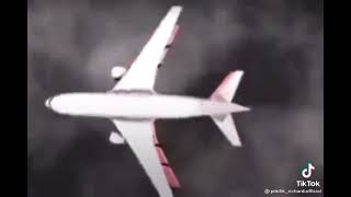 Как размножаются самолёты