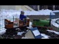 ハプニングは雪のせい？パーシー途中で止まったけども！！【きかんしゃトーマス】Percy's train happening＊ Thomas