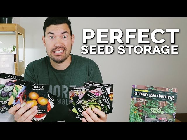 Creative Seed Storage Ideas: Interesting Containers For Seed Saving