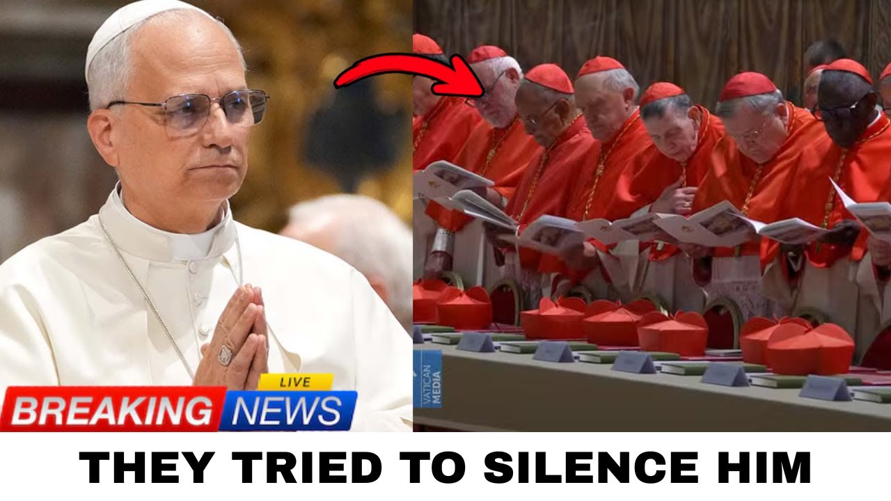 Cardinals Accused Pope Leo XIV of Overstepping by Reopening an Old Case -  YouTube