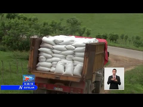MININT detecta venta ilícita de trigo en Villa Clara