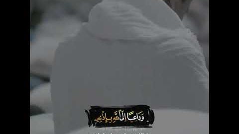 حالات واتس اب قران بصوت رعد الكردي ❤🌸 تلاوة خاشعة