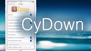 CyDown — мощнейший менеджер для Cydia screenshot 5