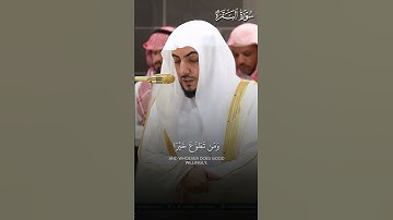 ما تيسر من سورة البقرة | تلاوة فضيلة الشيخ د.#الوليد_الشمسان