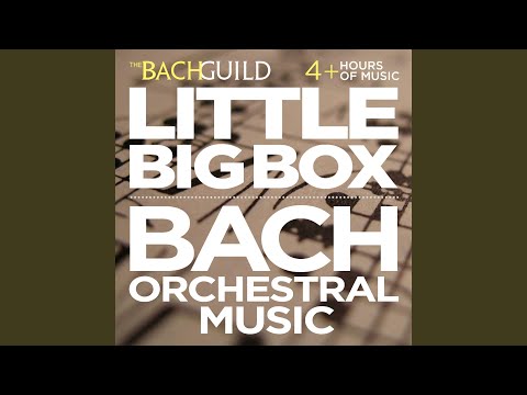 Ver Concerto in A Minor for Flute, Violin and Harpsichord, BWV 1044: i. Allegro no YouTube