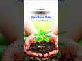 world environment day