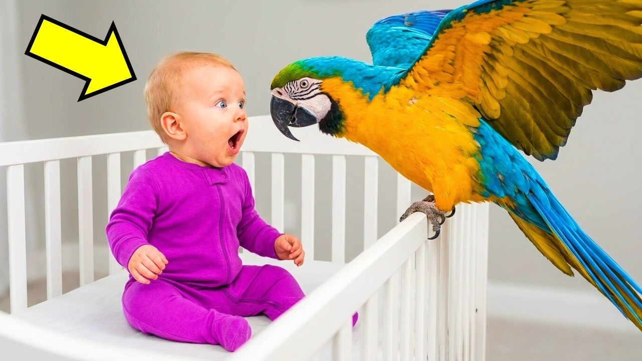 Ein Papagei, ein Baby, und der Schrei, der Leben rettete! (Dein Herz wird stehen bleiben