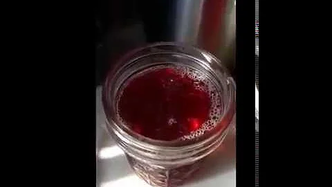 Making Kudzu Jelly With Mama
