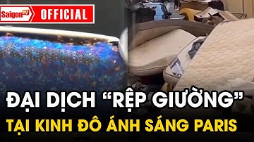 Đại dịch “rệp giường” tấn công mọi ngóc ngách tại Paris, người dân ngủ không ngon vì ám ảnh