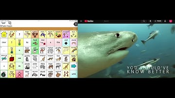 Animal Song - AAC Modeling Video