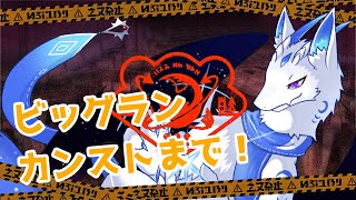 【サーモンランNW】ビッグランもカンストする！