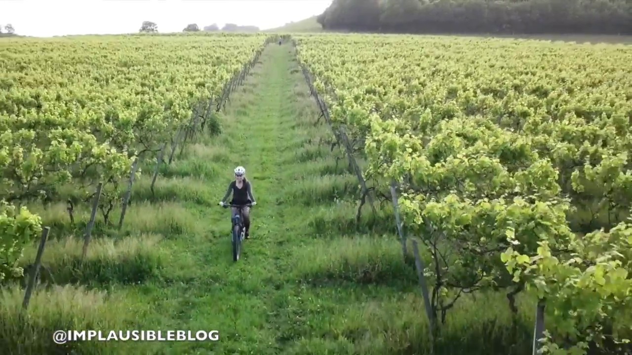 E-bike across Denbies Wine Estate