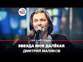 Дмитрий Маликов - Звезда Моя Далёкая (LIVE @ Авторадио)