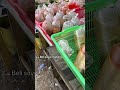 Sayur Matang #food #pasar #foodshorts #kuliner #fyp #shorts #irtproduktif #random