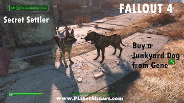 Buy a Junkyard Dog from Gene - Secret Settler - Random Encounter - Fallout 4