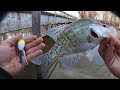 Creek crappie fishing from the bankjig and bobber creek crappie 2024