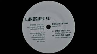 Mike Shannon – Under The Radar (Rozzo Mix)