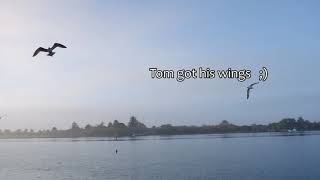 Toms Memorial Nov 5 2020