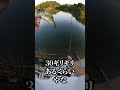 池のバス全部食べる！（バス茶漬け）
