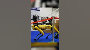 Spot Boston Dynamics | ICRA 2024 | New technology | Pro robots