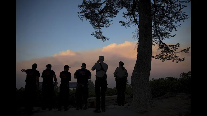 Forest Service chief: Progress on abuse will take ...