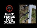 What Kind of Fence is Best for Goats