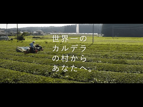 熊本県南阿蘇村ふるさと納税・返礼品PRムービー「宮﨑製茶のお茶」