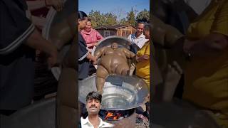 mota Aadmi ko dal diya #experiment #funny #ytshorts #ai