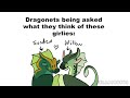 The Babies of Wings of Fire Learn about Gay People