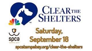 Clear the Shelters at SPCA Tampa Bay is September 18 Adopt a Dog Tampa Bay