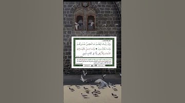 سورة النمل الاية 74 75