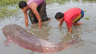 Amazing Boys Catch Giant Big Fish By Mud in Dry Season - Big Catfish Catching in Dry Season