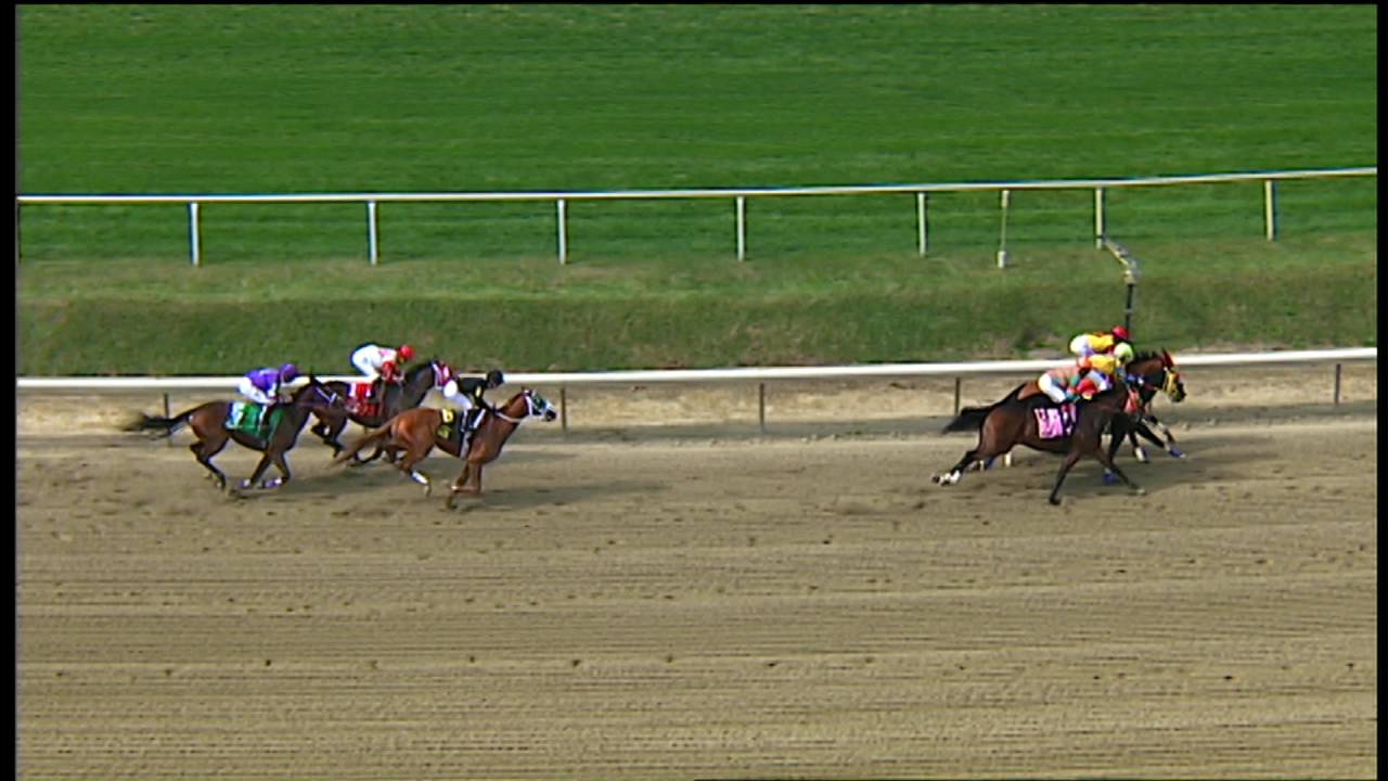 Maryland million 2016