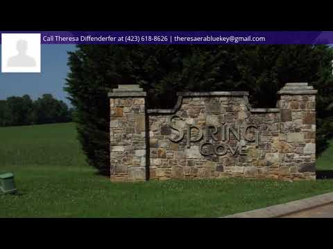 4 Spring Inlet Lane, Spring City, TN home video tour