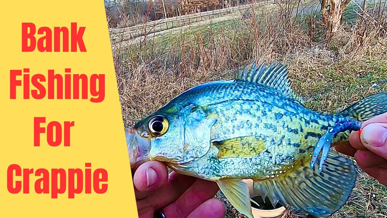 Catching Pre Spawn CRAPPIE From The BANK 