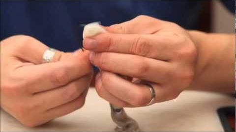 How To Use A Whole Squid On A Pennell Rig