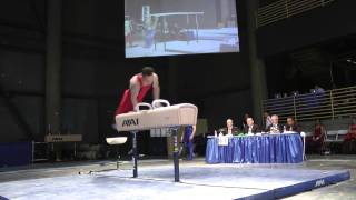 Spencer Johnson - Pommel Horse - 2012 Winter Cup Prelims