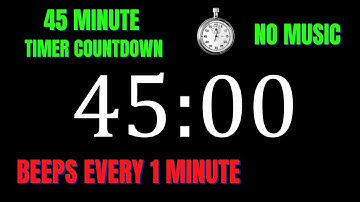 45 Minute Workout Countdown Timer with 1 Minute Interval Beeps | NO MUSIC