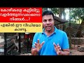 കോഴികളെ നിങ്ങൾക്കൊരു ആലയം // How to make chicken cage //AJU'S WORLD