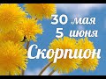 СКОРПИОН♏❤️ 30 мая по 5 июня. Таро прогноз для Скорпионов/SCORPIO TAROT/Tarot forecast for Scorpions