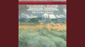 Tchaikovsky: Serenade for String Orchestra in C Major, Op. 48, TH 48: II. Walzer: Moderato...