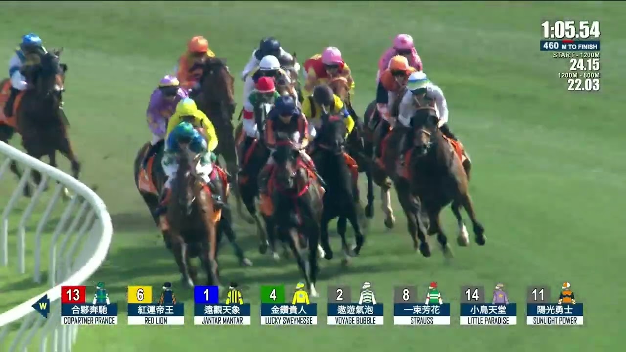 MY WISH - The Champions Mile 2026 (3YO+ WFA G1) Group 1 Sha Tin