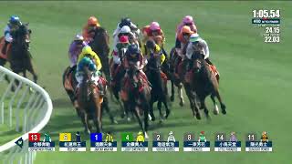 MY WISH - The Champions Mile 2026 (3YO  WFA G1) Group 1 Sha Tin Hong Kong 26 April