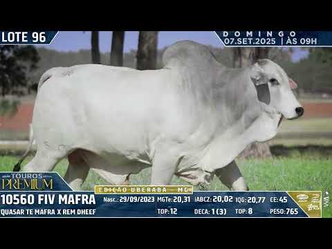 LOTE 96
