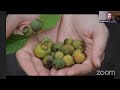 Explorer Classroom | Flowers, Fruit, and the Future with Marcelo Kubo