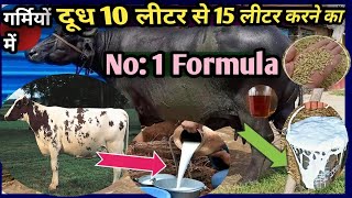 गर्मियों में दूध 10 लीटर से 15 लीटर करने का No.1👌Formula/Increase Milk🥛in Cow Buffalo