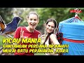 BULE VIRAL IKUT GANTANGAN MURAI BATU DAN JUARA !!!