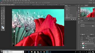 Using the magic wand tool to make a selection